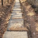 신정골뼈해장국본점 이미지