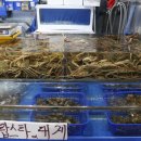 대명농수산