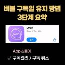 버블 웹결제 전환하면서 디데이 유지 성공! 이미지
