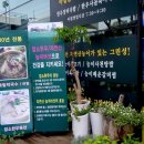 그린막국수 이미지