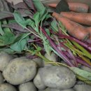 무동농장 이미지