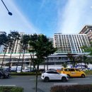 광교중앙약국 이미지