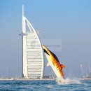 돌고래홀딩스 이미지