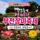 [2026 부천장미축제 후기] 지금 가도 괜찮을까? 직접 다녀와 본 솔직 후기! 찐후기 참고하세요.