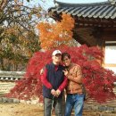 사하두바퀴장애인자립생활센터 이미지