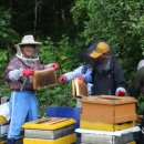 시몬농장 이미지