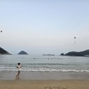 남해바다 네이버블로그
