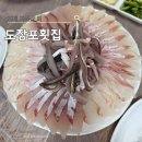 자연산횟집 | 거제고현횟집 도장포횟집 자연산 회 후기