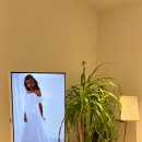 4625 | 청담드레스샵 워크인이벤트 조슈아벨브라이덜 드레스투어 후기