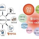 커피나야 이미지