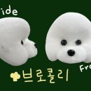 댕댕미용 이미지