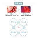 광주 본 동물병원 이미지