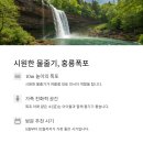 홍룡사 - 1811 | 홍룡사
