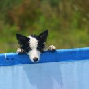 원반농장 이미지