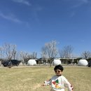 아프리콧스튜디오 에떼 선글라스 실착
