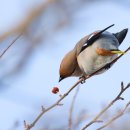 행복의아침 이미지