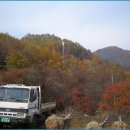 산골집 Daum카페