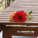카페비에네스