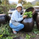 세안농장 이미지