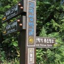 지곡리 등산로 이미지