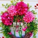 간추린 뉴스 이미지