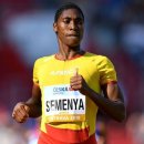 도구로 55 이미지