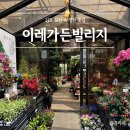 이레가든 | 김포꽃집 화훼단지 "이레가든빌리지" 어버이날 카네이션 내돈내산 후기
