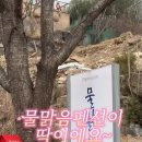 물맑음 펜션 이미지