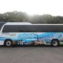 봄꽃힐링투어 이미지