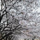 거기농장