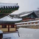 뉴세심천 이미지