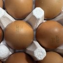 주식회사 키워 이미지