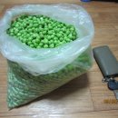 완두콩맘