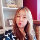 노라보까 이미지