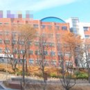 주식회사 미래티엠에스 글로벌 이미지