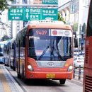 안골 포레스트 이미지