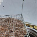 최영희 언양불고기 이미지