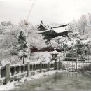 겨울나그네 이미지