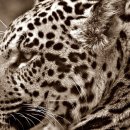 서민수산회 이미지