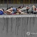 새우잠