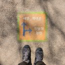 직화욱이짬뽕 | 바쁘다바빠 현대사회 4월 일상~