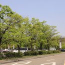 돌다리공원 이미지