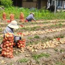 가든내과의원 이미지