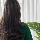 김헤어디자인 이미지