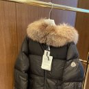 마로니에르