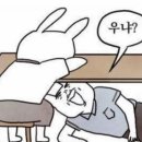 니모실내낚시터 이미지