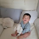 석촌호수어린이집 이미지