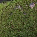 선문염송설화 이미지