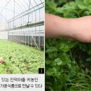 인덕농장 이미지