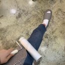 러블리독 애견카페 이미지